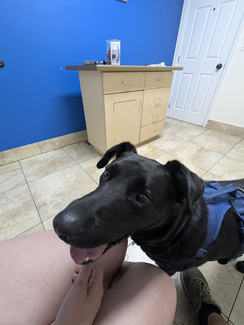 Altos Veterinary Clinic cover image