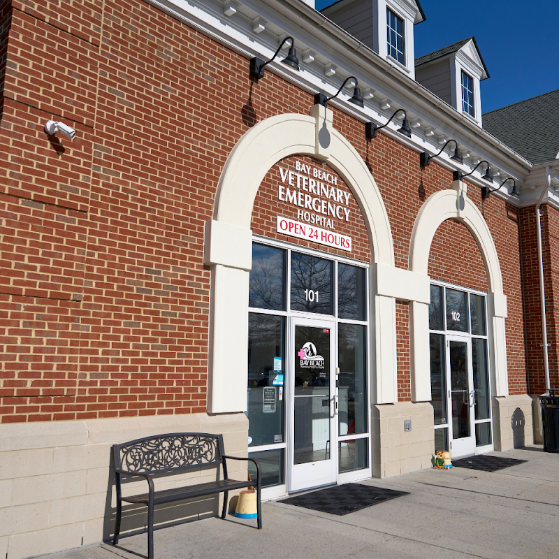 Bay Beach Veterinary Emergency Hospital cover image