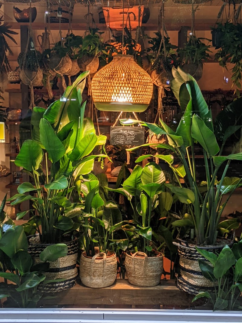 Plant World London cover image