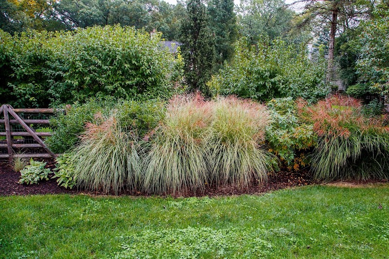 Greenwise Organic Lawn Care cover image