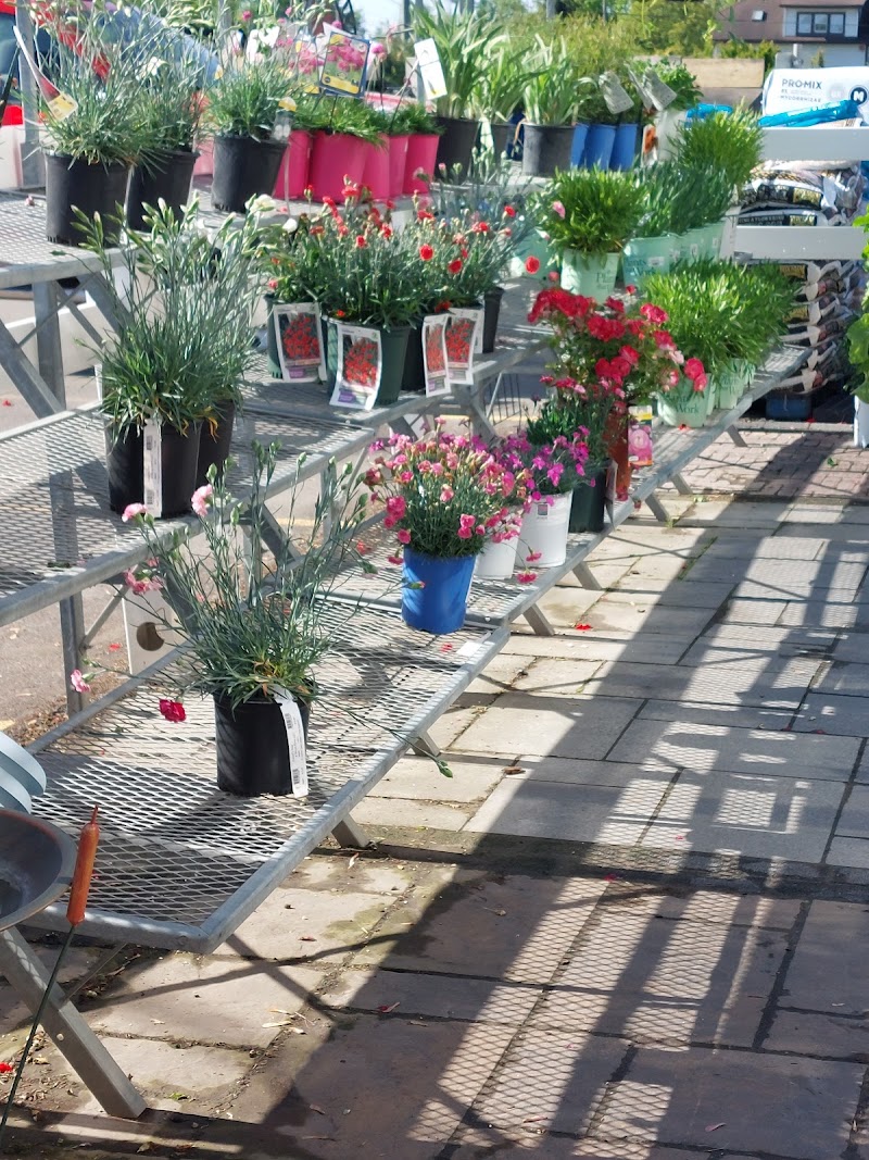 Russell's Tree and Shrub Farm LLC cover image