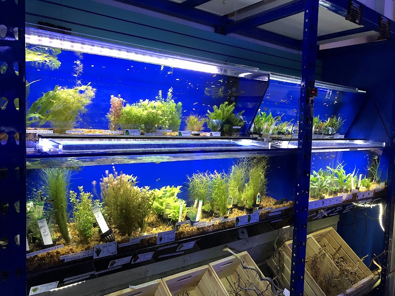 Underwater Depot cover image