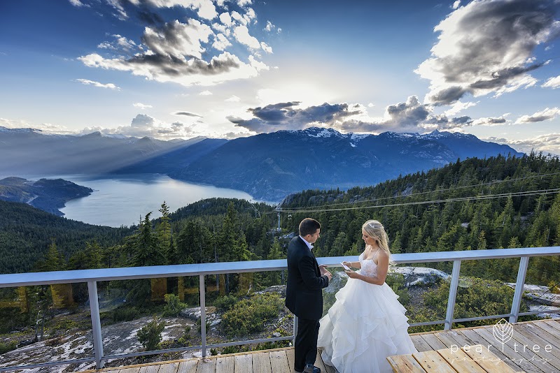 Pear Tree Photography cover image