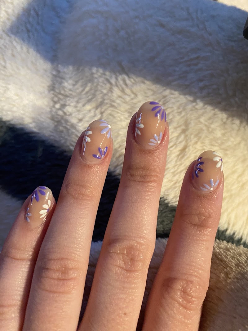 Hollywood Nails and Day Spa cover image