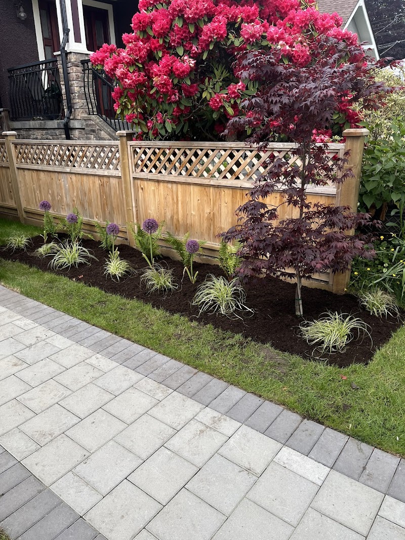 Blossom Landscaping cover image