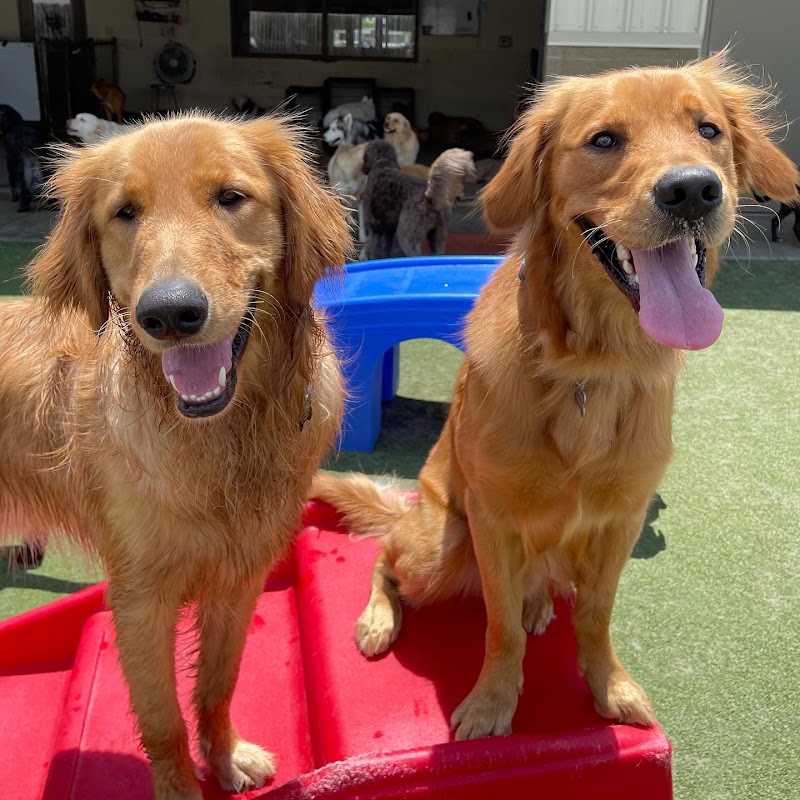 BrownDog Lodge - Germantown cover image