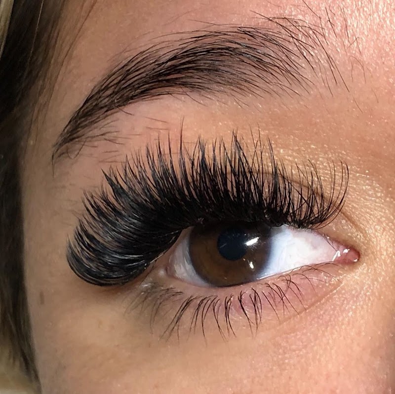 Carolina and Co. cover image