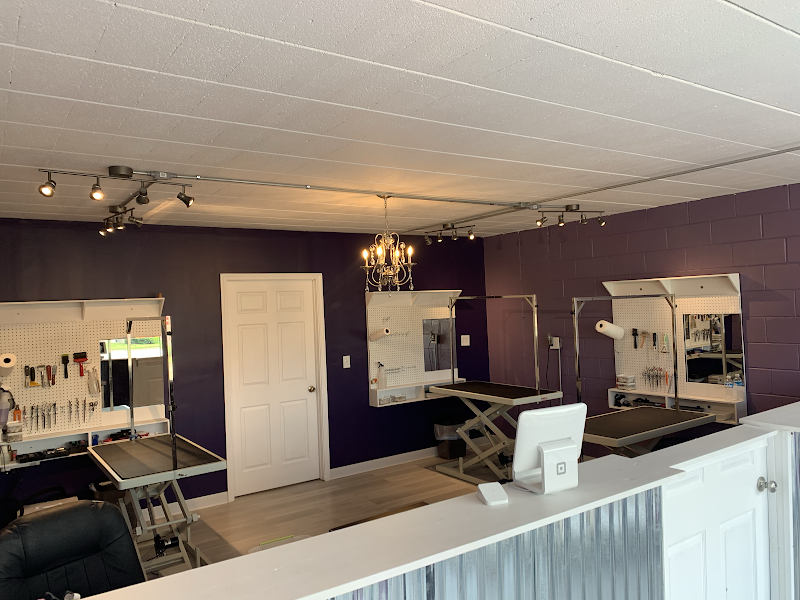 The Fluffy Puppy cover image