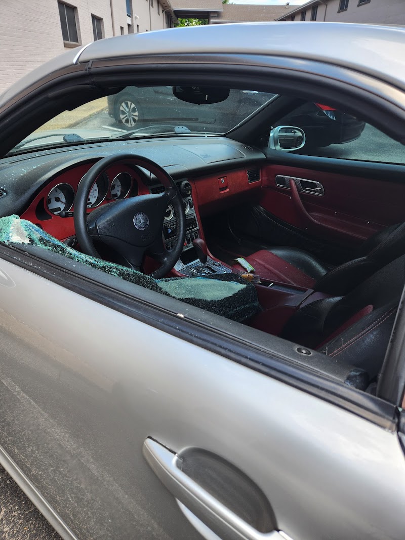 Armadillo Auto Glass cover image