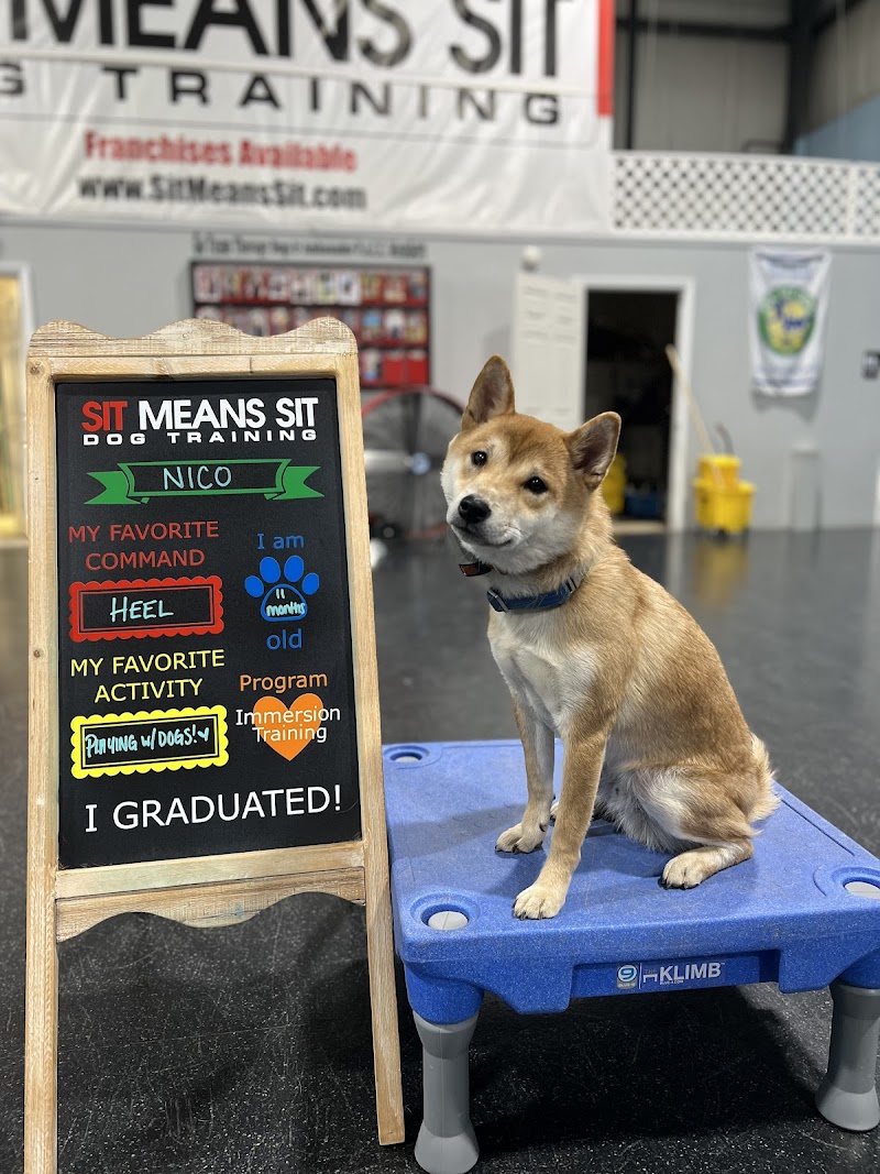 Sit Means Sit Dog Training Detroit cover image