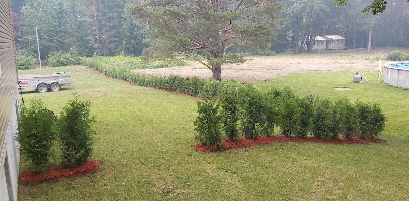 Pépinière-Cèdrière La Québécoise Inc cover image