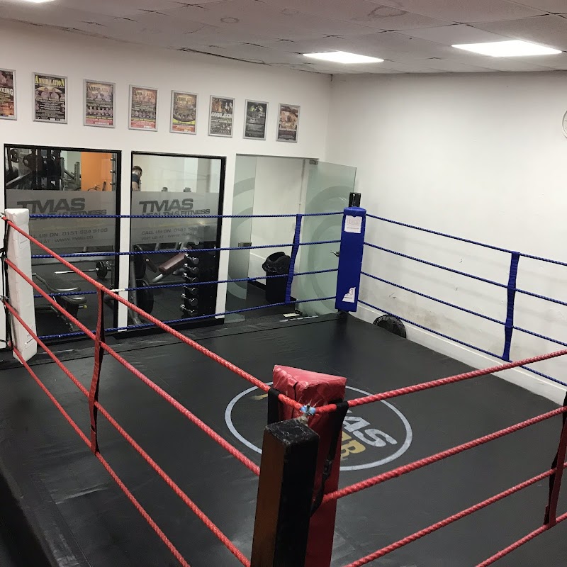 The Martial Arts Studio (TMAS) cover image