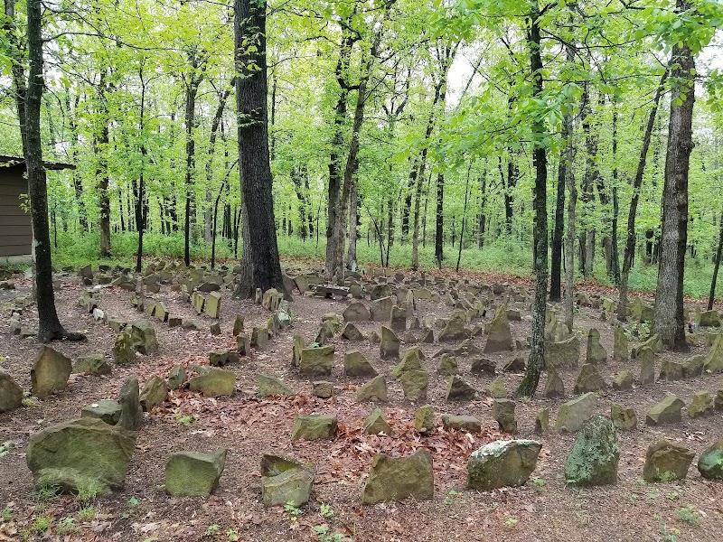 Osage Forest of Peace cover image