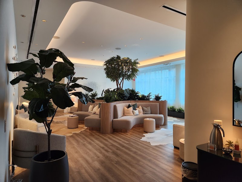 milk + honey | Gold Coast cover image