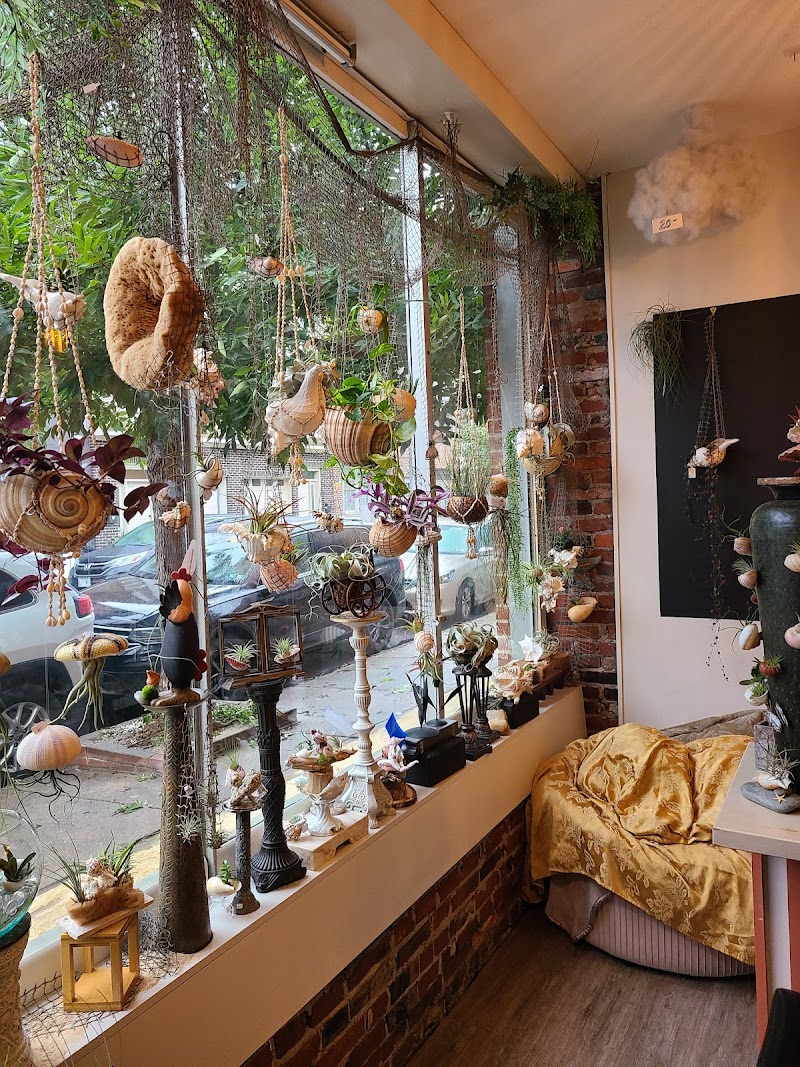 The Jade Forest cover image