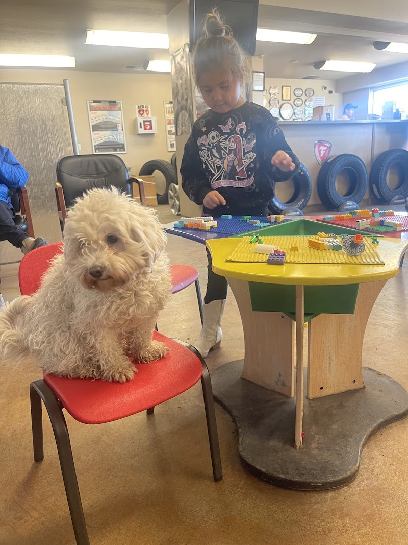 Alaska Tire Service cover image