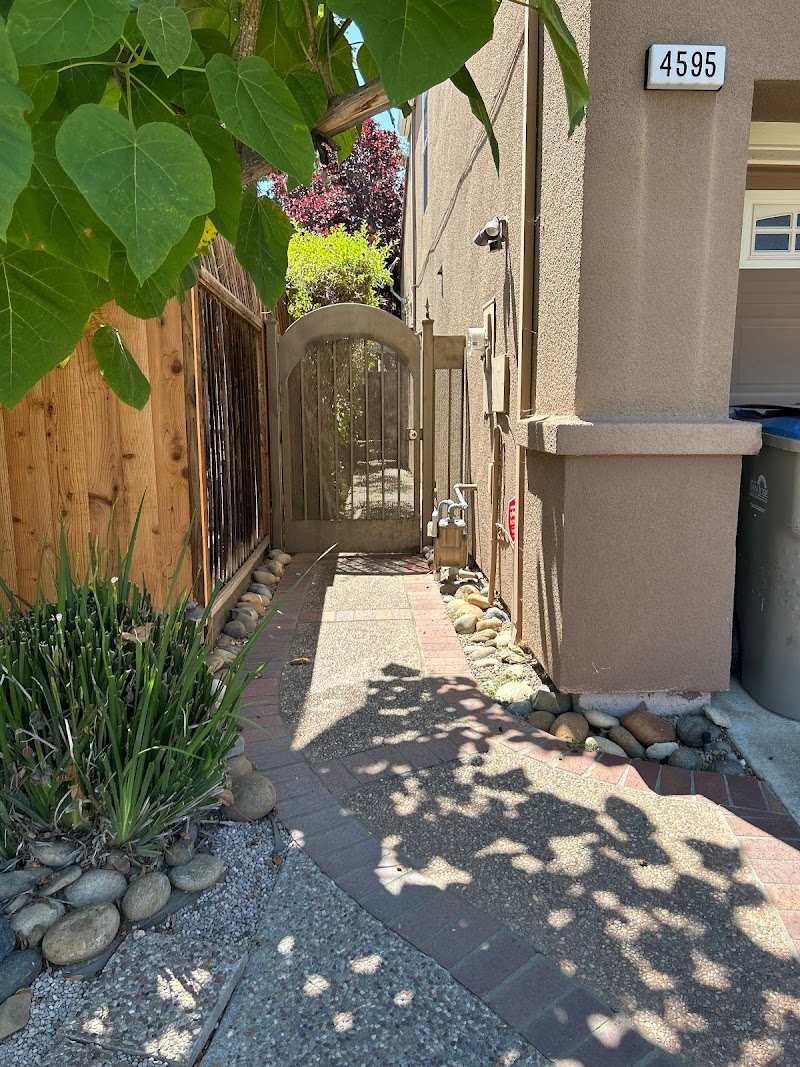 Martin Lowe, CPA cover image