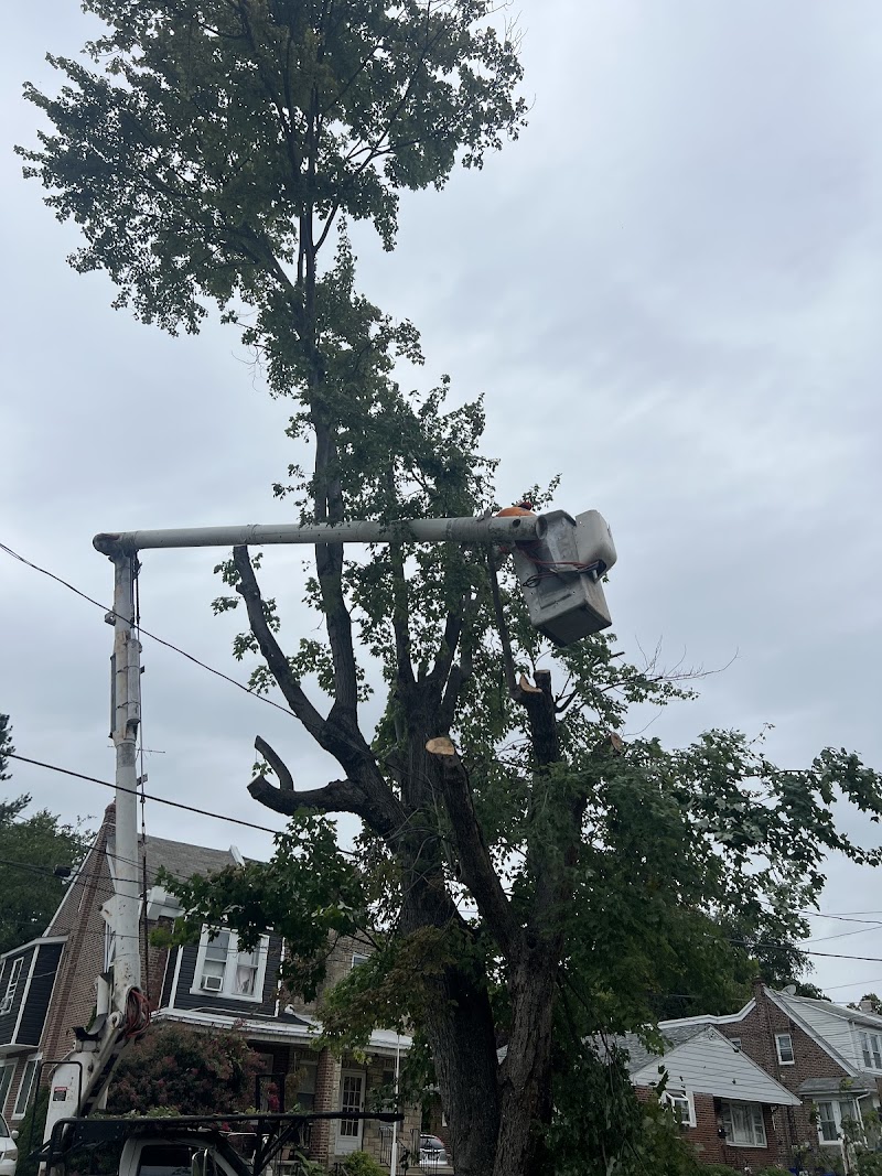 J&J landscaping and tree services cover image