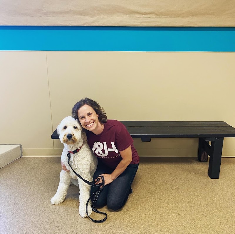 Uplifting Paws cover image