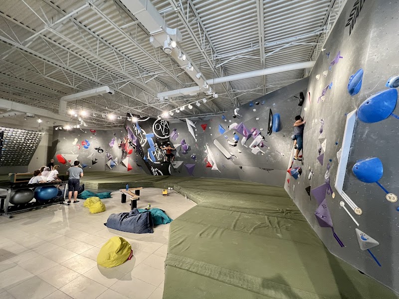 Bloc 9.81 cover image