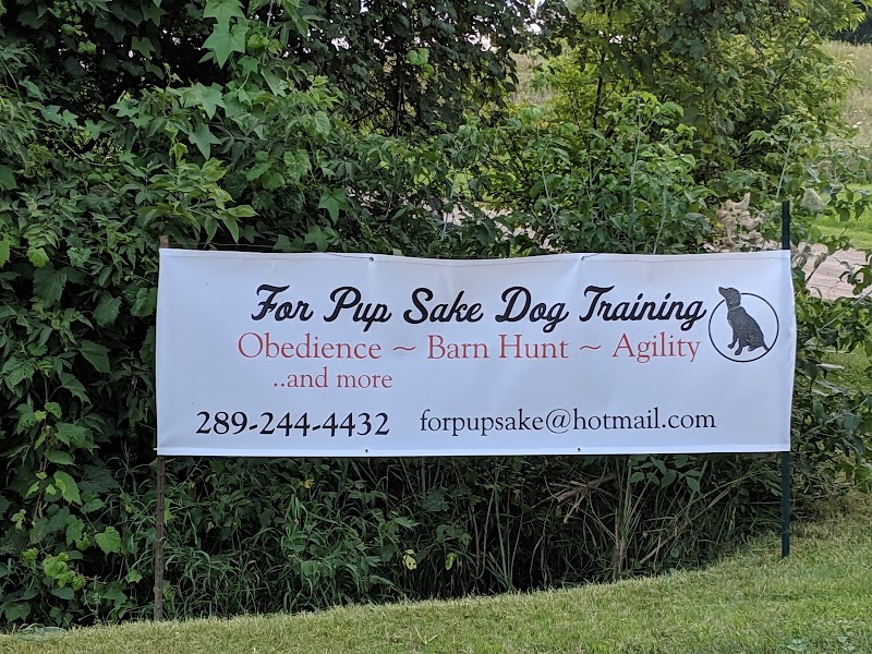For Pup Sake Dog Training cover