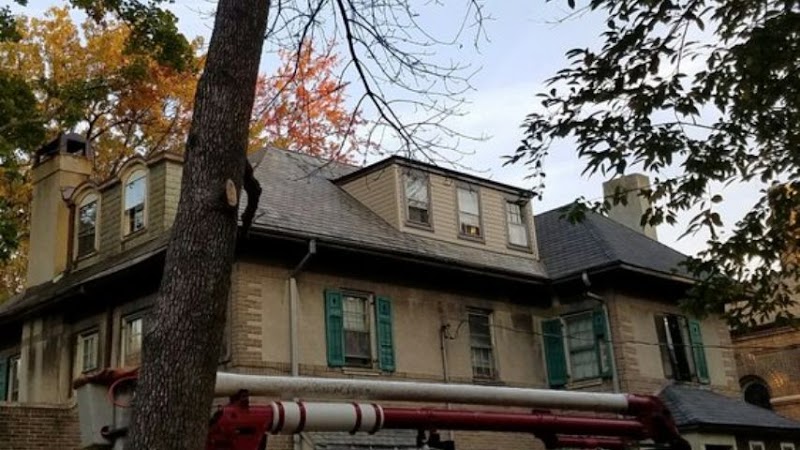 Luxury Tree Service & Landscaping cover image