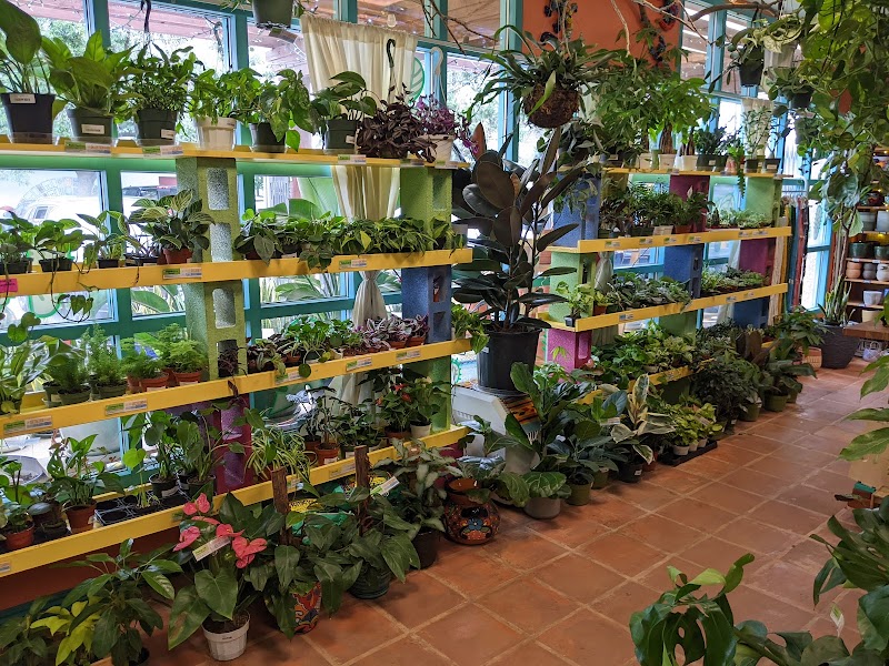 Green Lady Gardens cover image