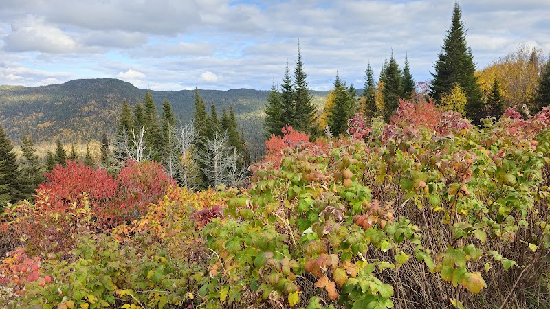 École de conduite La Voie cover image