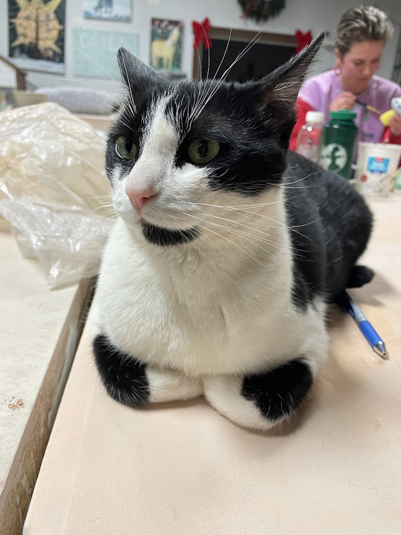 The Wedge Ceramics Studio cover image