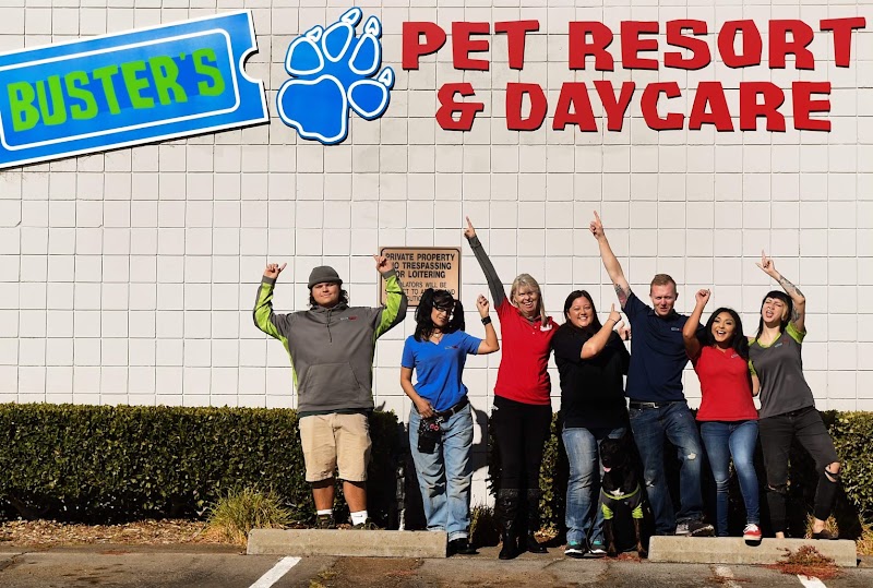 Buster’s Pet Resort & Daycare cover image