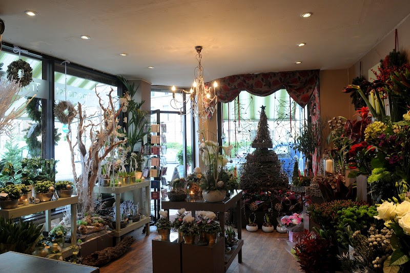 Floral Haven cover image