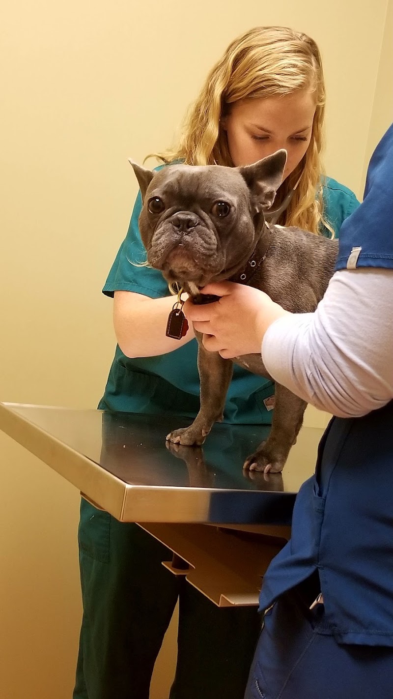 Wicker Park Veterinary Clinic cover