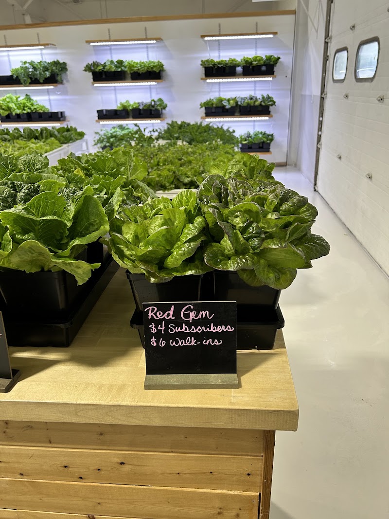 Anchorage Greens cover