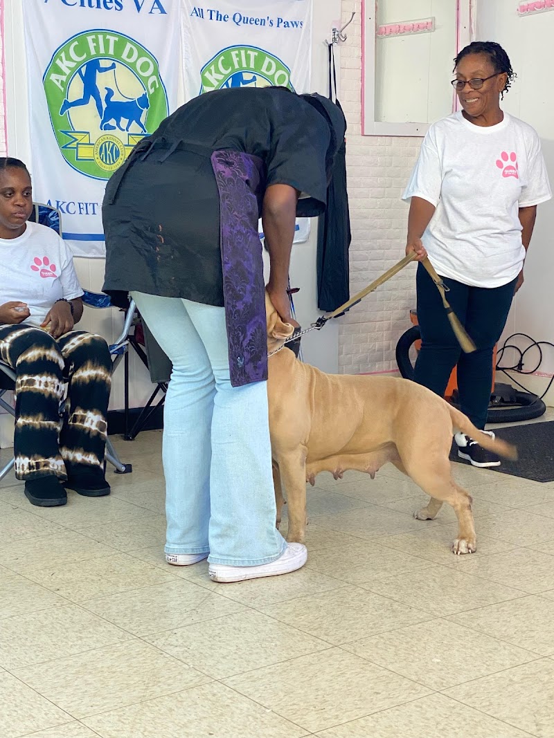 Queen of the Paws cover image