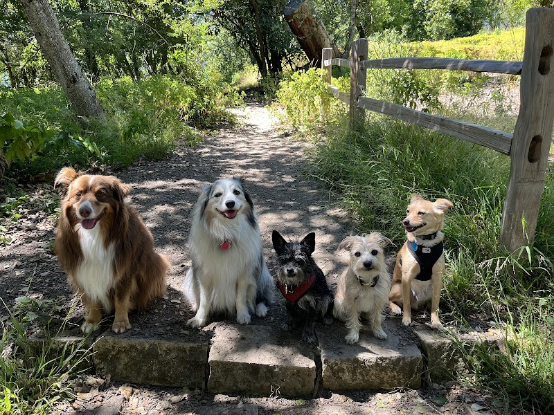 Doggy Lama Pet Care cover image