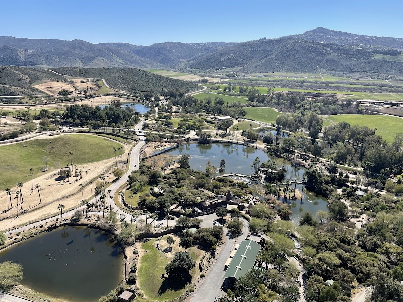 Balloon Safari cover image