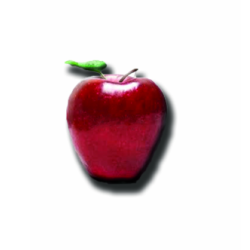 Educational Consultants Ltd cover image