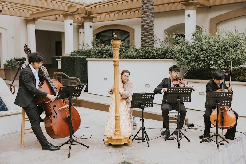 Pink Mozart Entertainment | Best Live Classical Music for Weddings & Events cover image