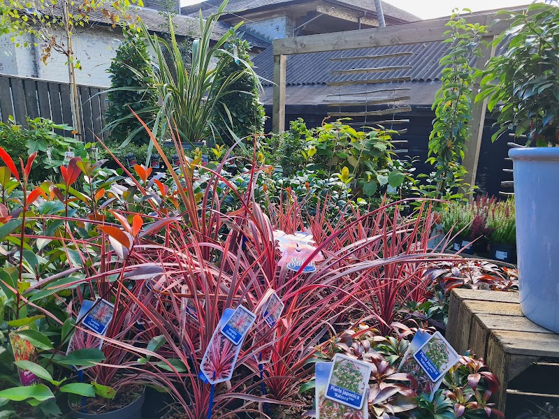 Westend Garden Centre cover image