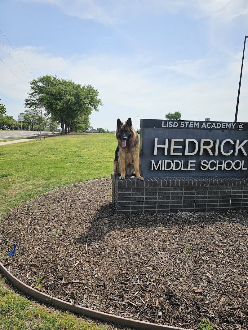 Tip Top K9 Dog Training Irving cover image