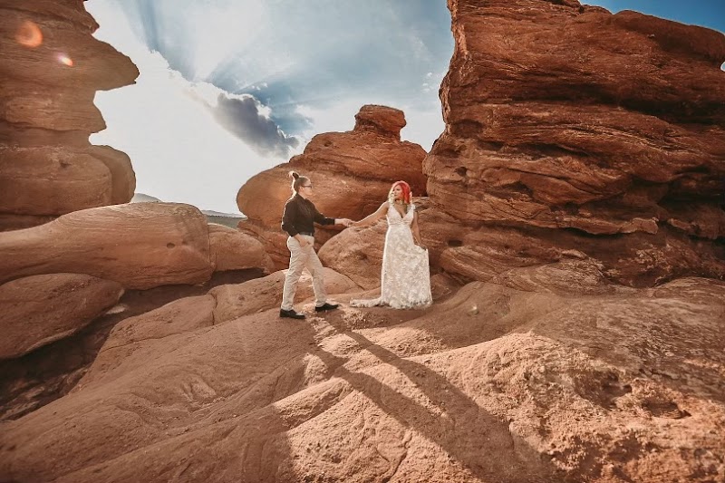 Roots of Life Photography LLC cover image