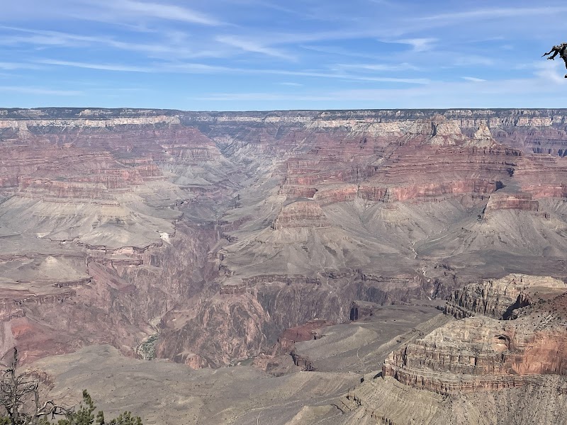 Todd's Amazing Tours cover image