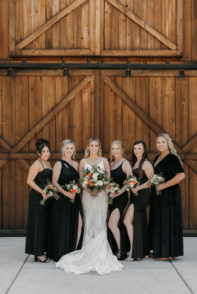 Sierra Jane Studios cover image