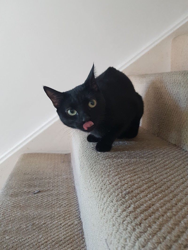 Edinburgh PDSA Pet Hospital cover image