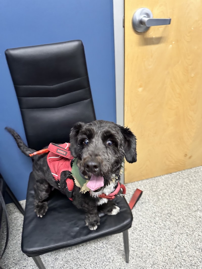 Anaheim Hills Pet Clinic cover image