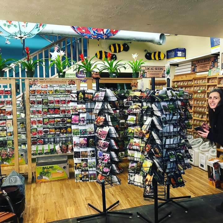 North End Organic Nursery cover image