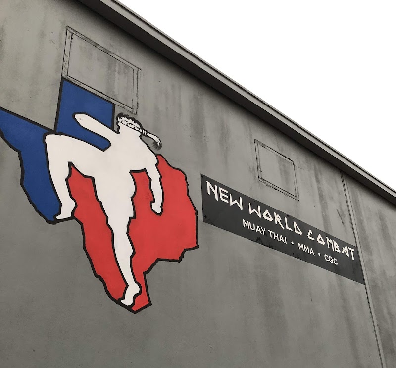 New World Combat cover image