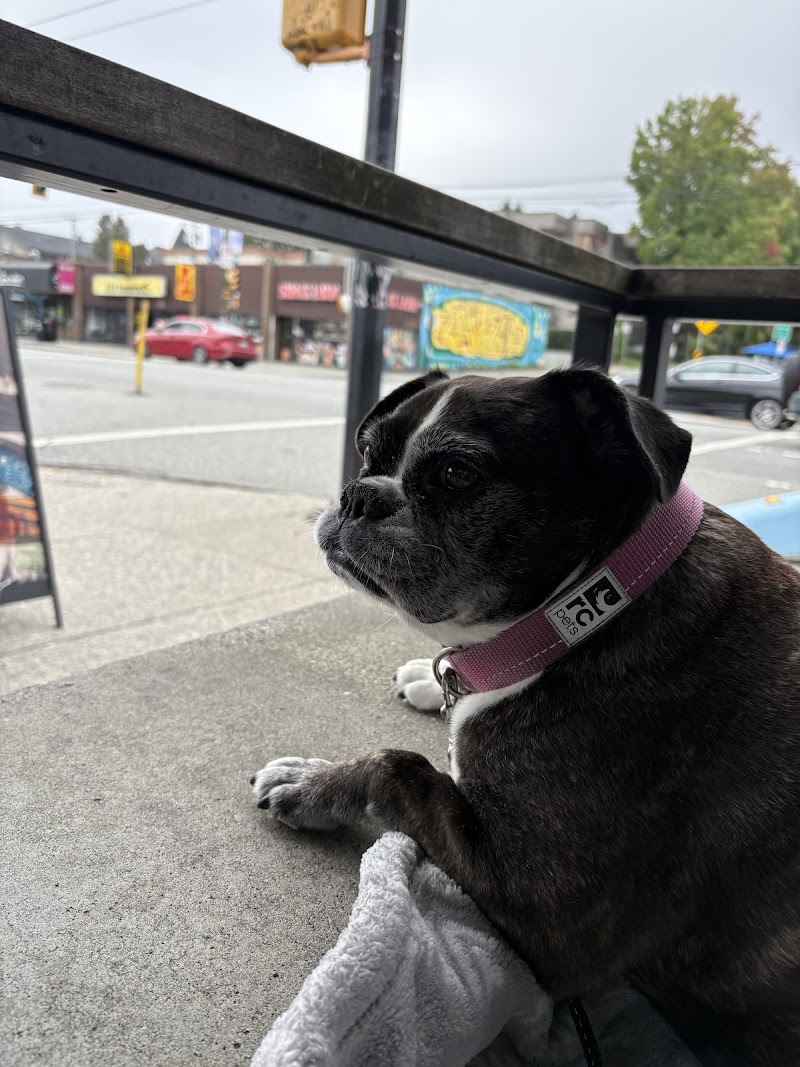 Granville Island Veterinary Hospital cover image