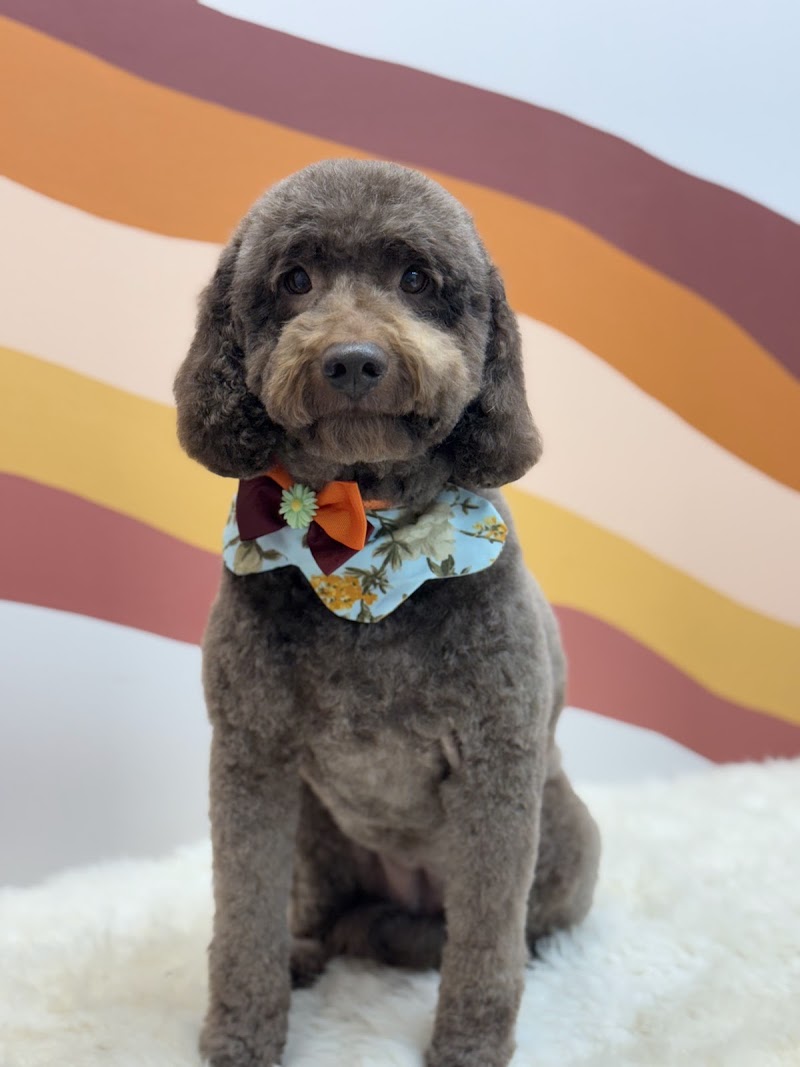 Raleigh Grooming Co. cover