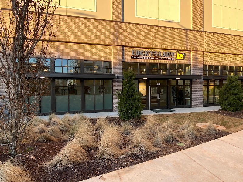 Lucky & Lady cover image